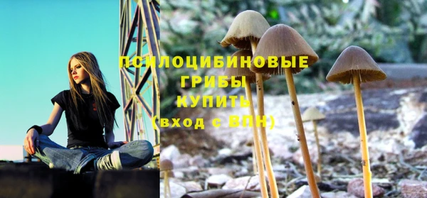 прущая мука Наволоки
