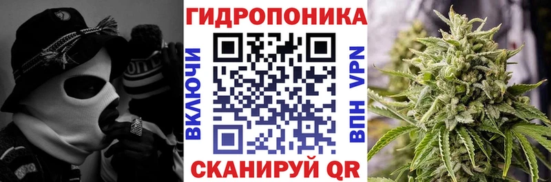Канабис конопля  Талица 